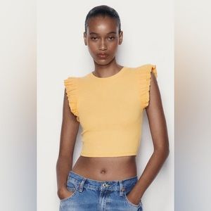 ZARA Ruffled Sleeve Top